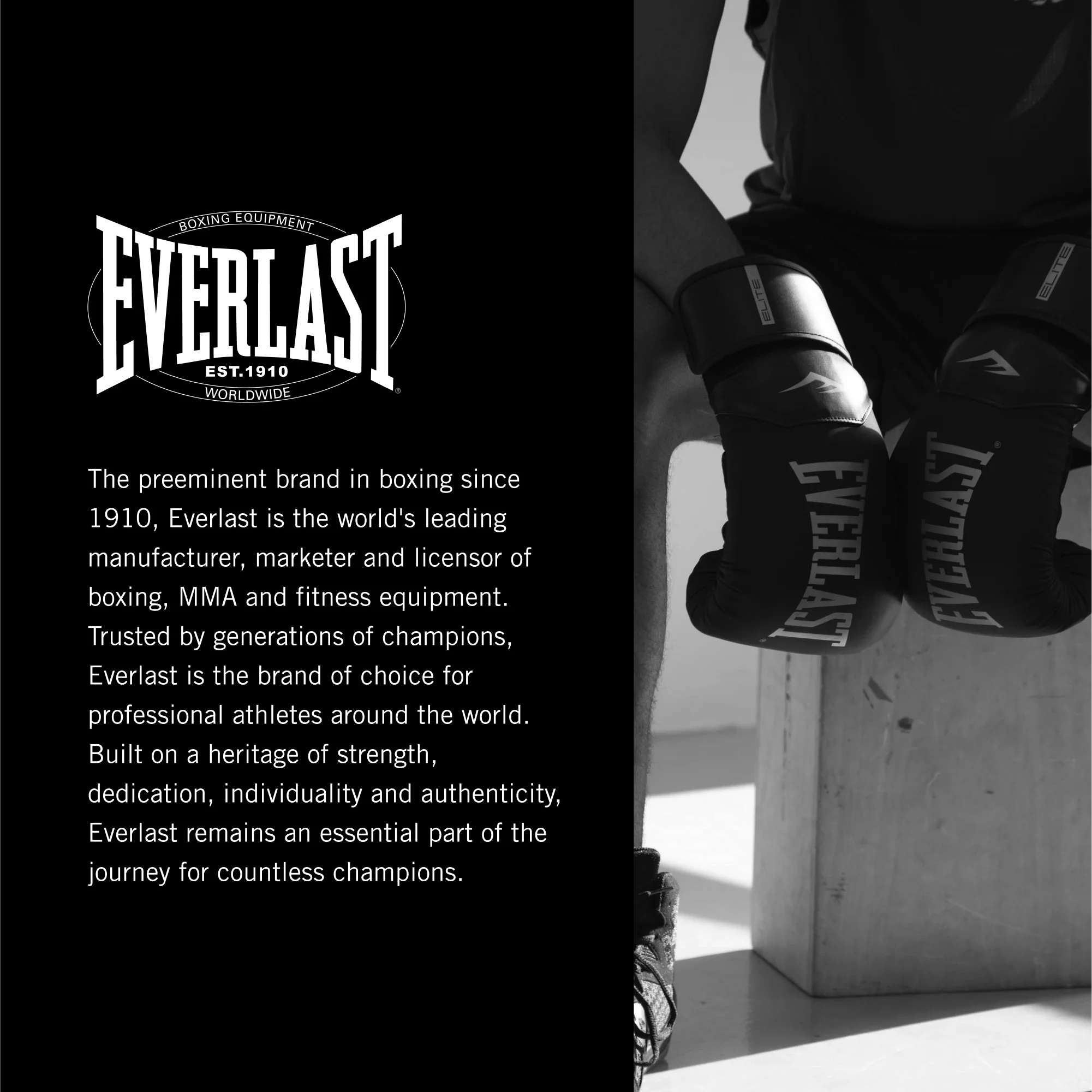 Everlast 70-lb Nevatear Heavy Bag Kit - 11" L x 11" W x 34" H - image 6