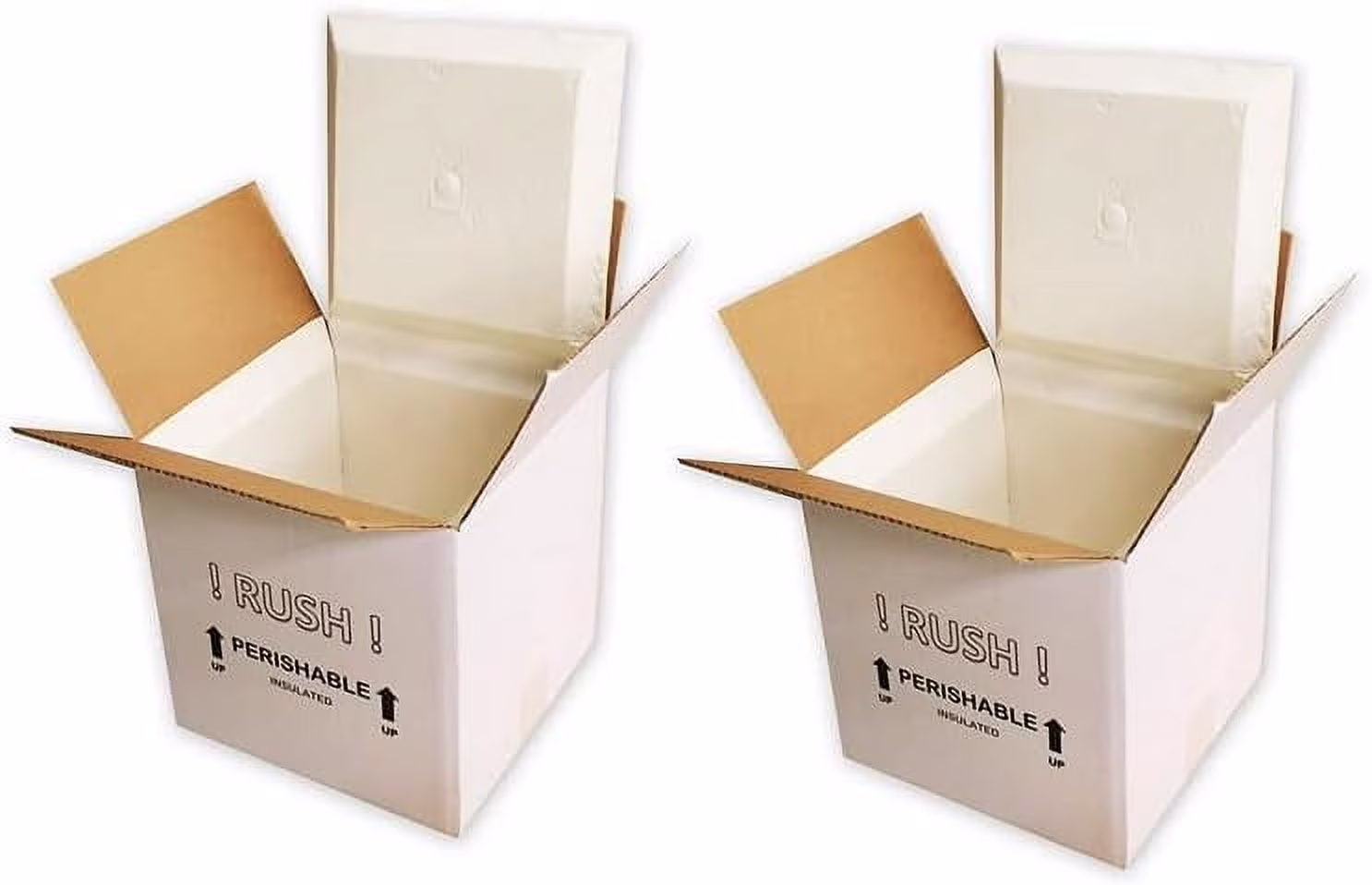 SF12A EcoFriendly Insulated Shipping Cooler, 12" x 12" x 12" (Pack of 2)(9" x 9" x 9" Inside) - image 1