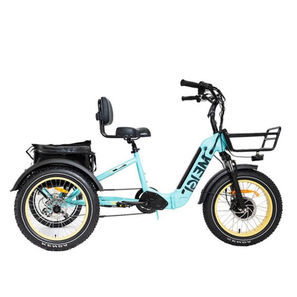 750W Foldable Electric Trike - 48V 14Ah Fat Tire 3 Wheel E-Bike with Baskets - product image 1