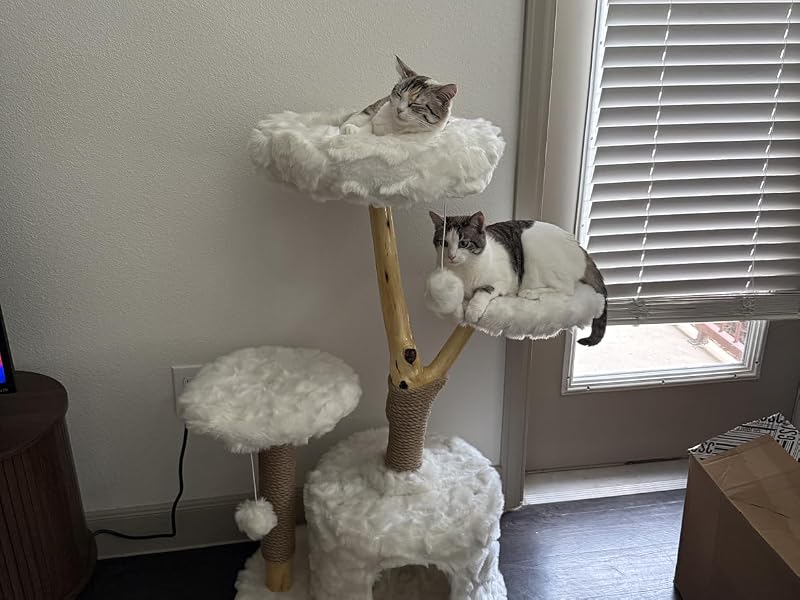 cat tree