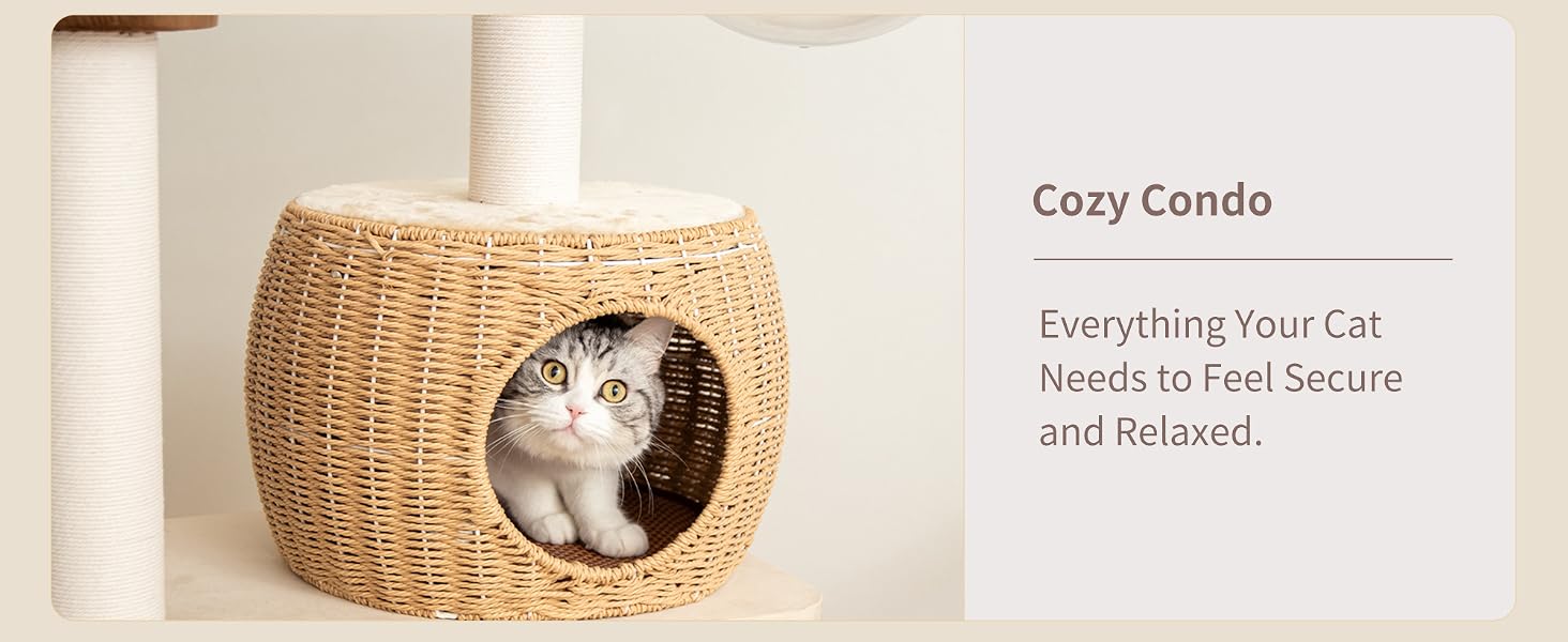 cat tree large indoor hammock capsule clear bowl solid wood tower kitties