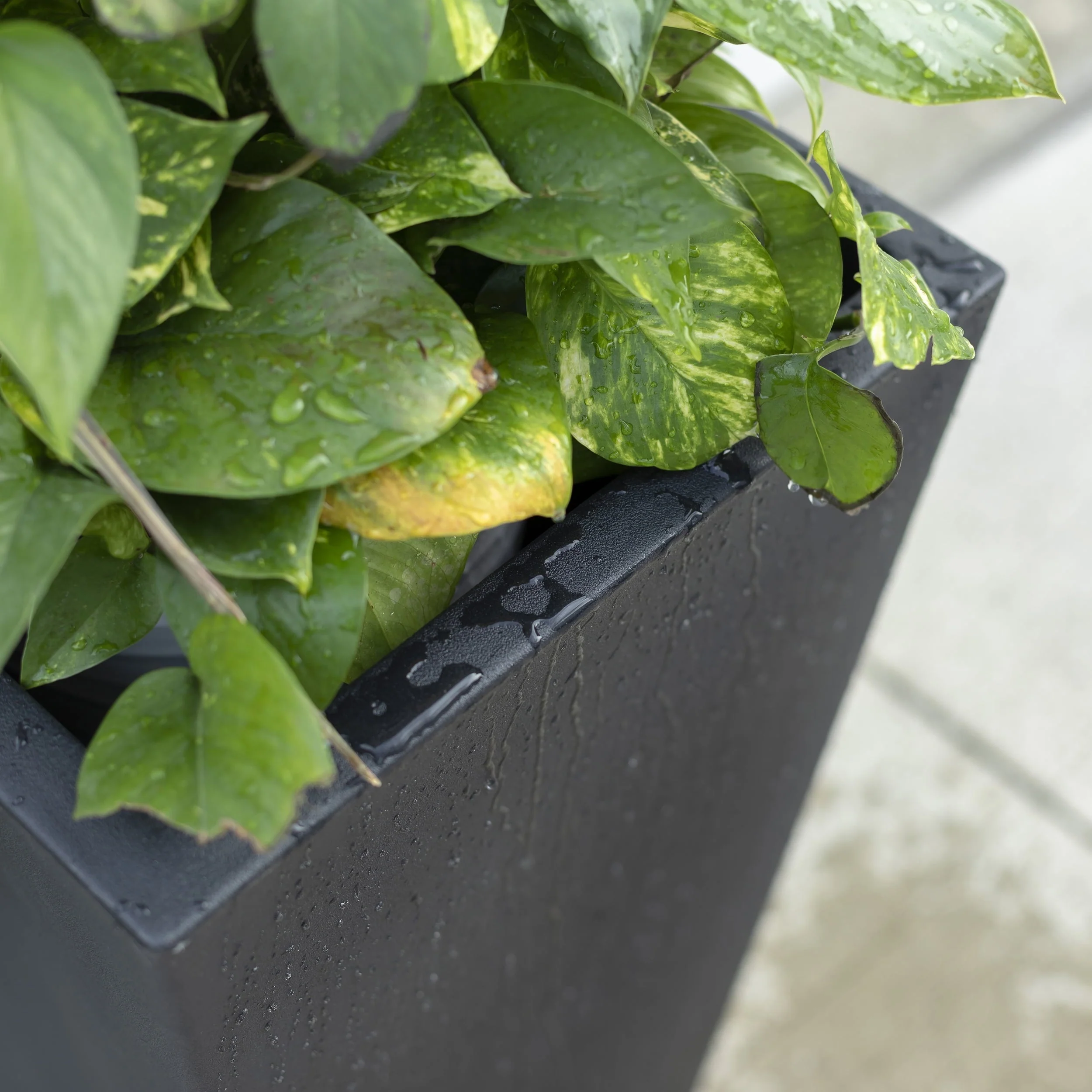 Step2 Tremont 2pk Plastic Black Square Planter 15" W x 15" D x 28" H - image 7