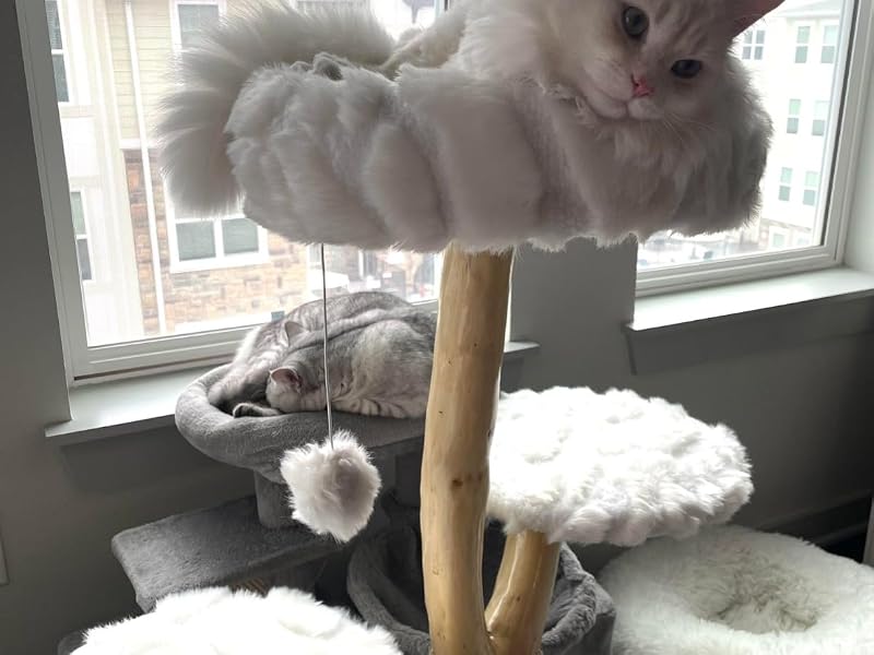 cloud cat tree