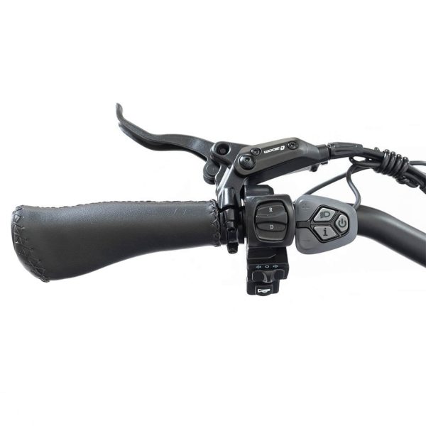 750W Foldable Electric Trike - 48V 14Ah Fat Tire 3 Wheel E-Bike with Baskets - product image 4
