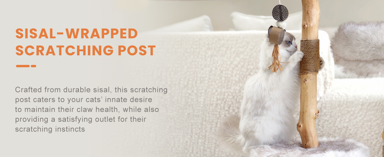 Scratching Post