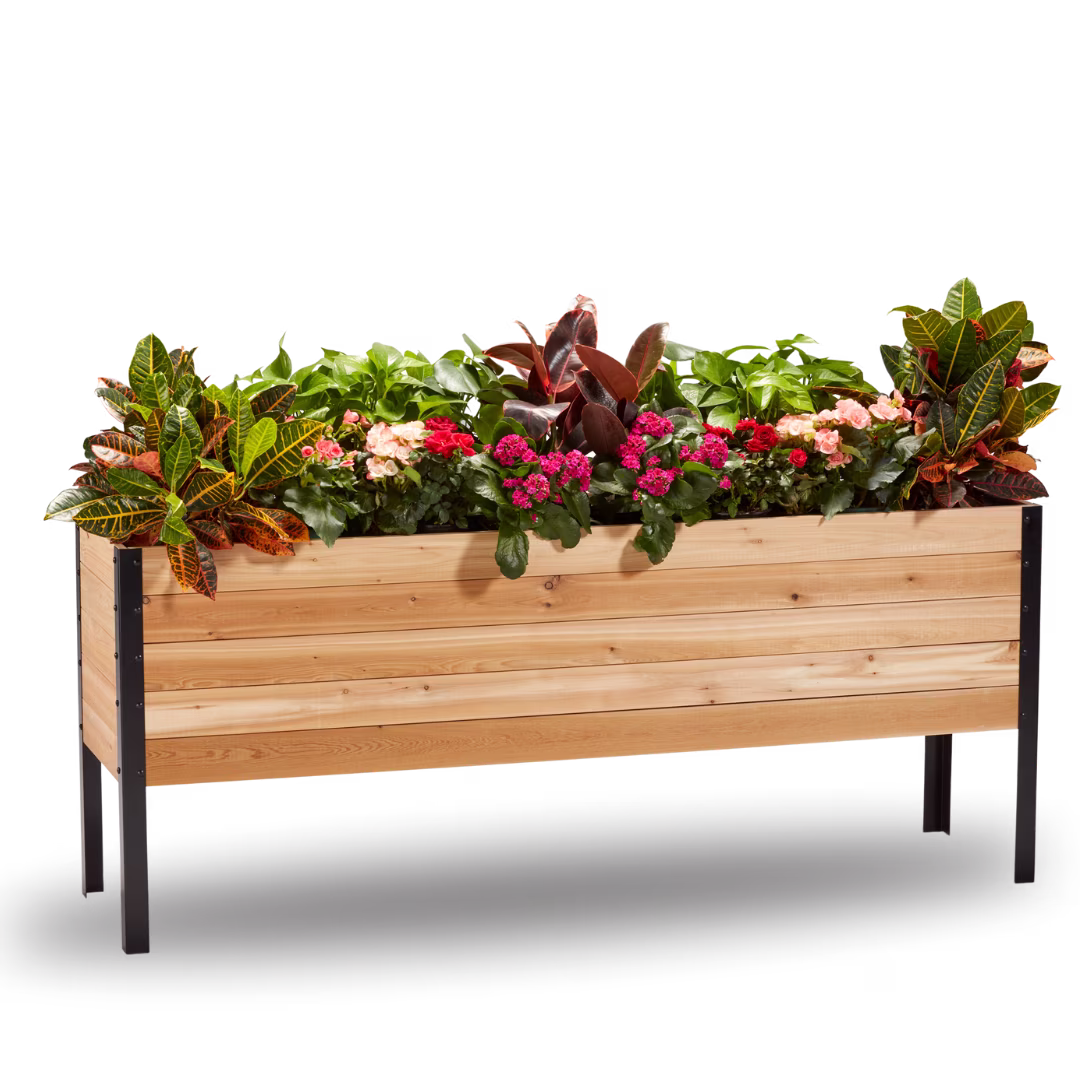 18" x 72" Raised Garden Bed - image 1