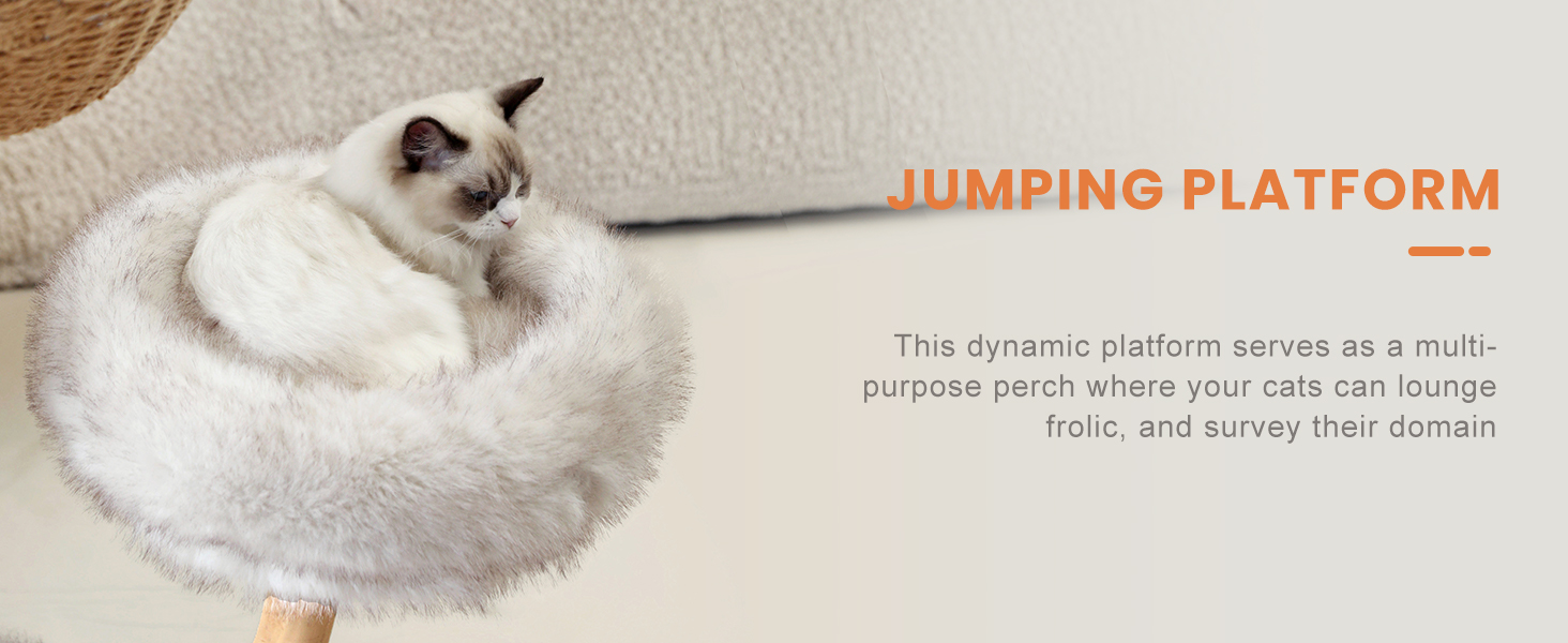 Jumping Platform