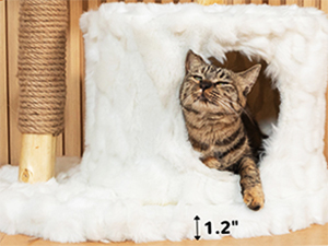 wood cat tree