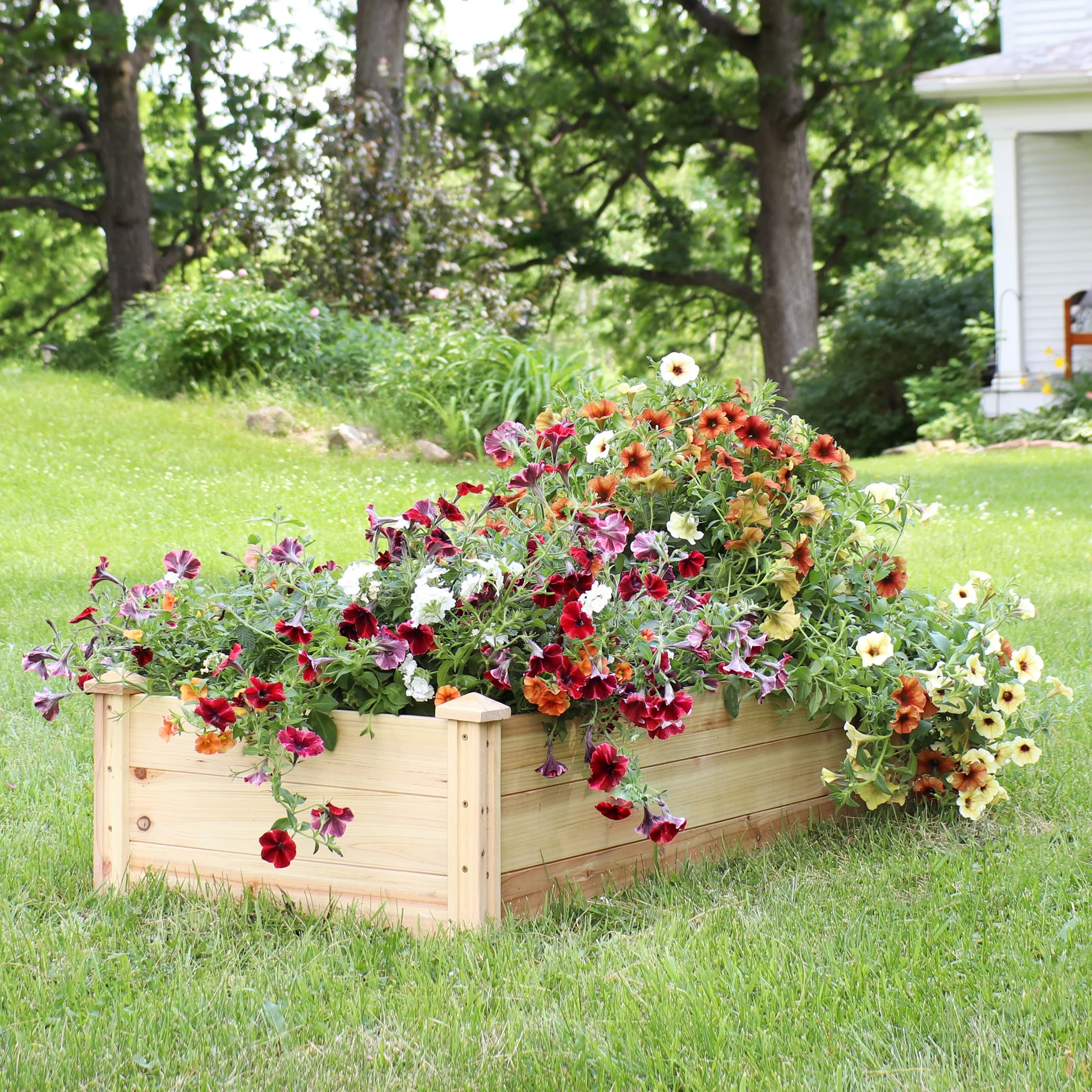 Sunnydaze 24" x 48.25" x 12.25" Rectangular Natural Wooden Outdoor Raised Garden Bed - image 6