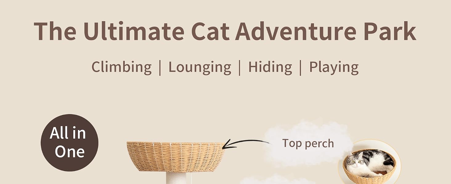 cat tree large indoor hammock capsule clear bowl solid wood tower kitties