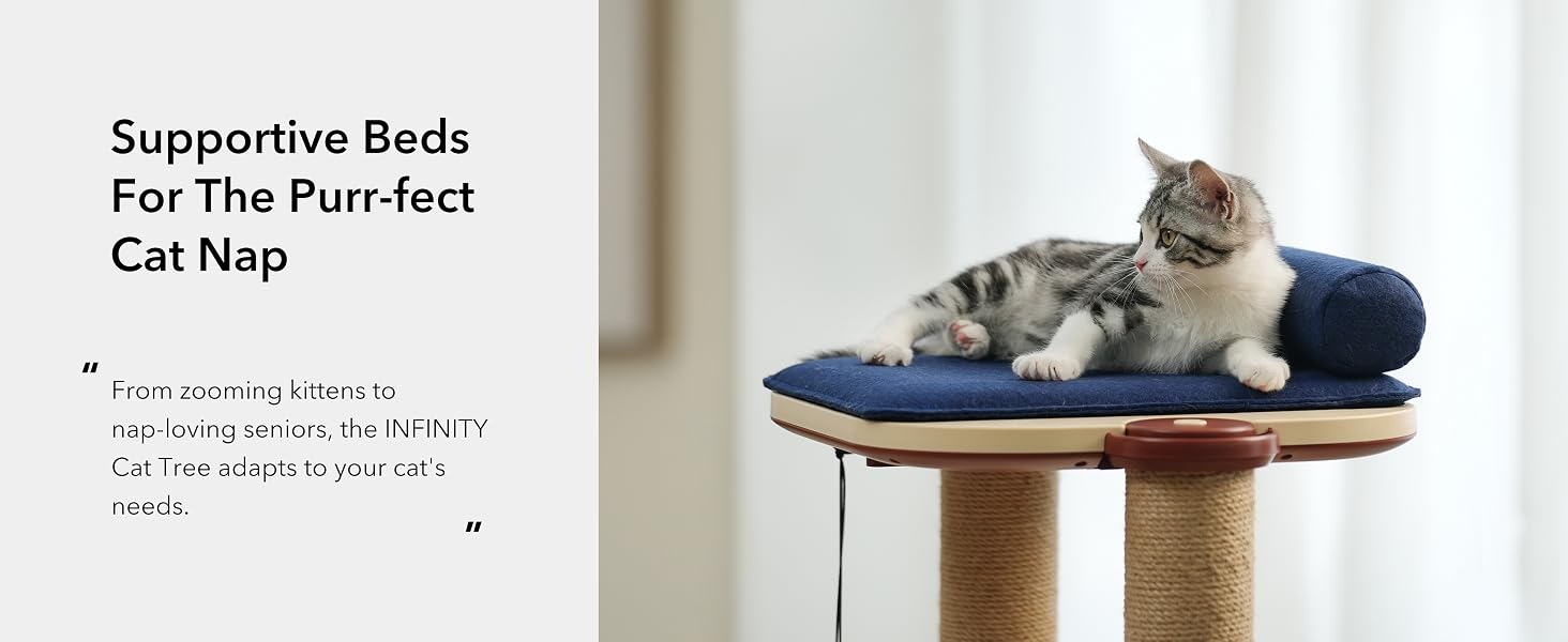cat tree tower petlibro small cat tree for indoor cats